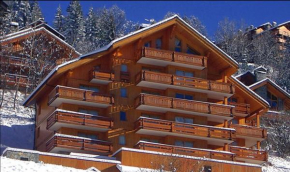 Meribel Centre - Chalet Lachat - 85m2 3BR apartment with beautiful mountain view, close to center of Meribel